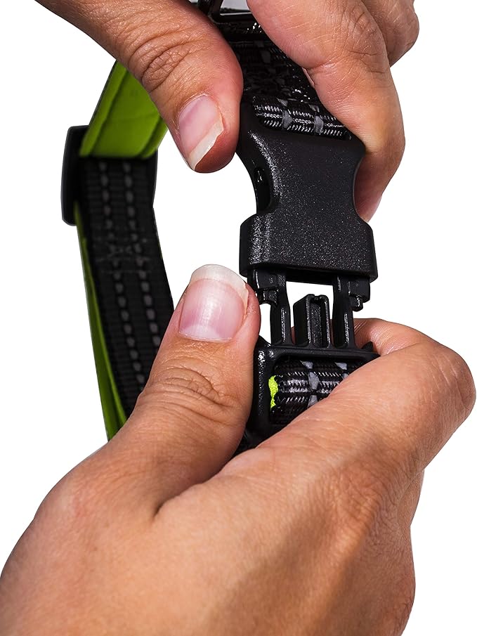 Franklin Pet Supply Co. - Nylon Dog Collar - Reflective Comfort - Fit - Neoprene - Adjustable- Small- Medium - Large - Puppy - Dog - Cat- Easy Clip