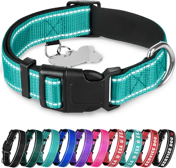 TECEUM Reflective Pet Collar – Teal – XXS – Extra Soft Padding – Basic Nylon Dog Collar – Quick Release Buckle – Fits Small, Medium and Large Dogs, Puppies, Cats – ESA & Service Dog Options