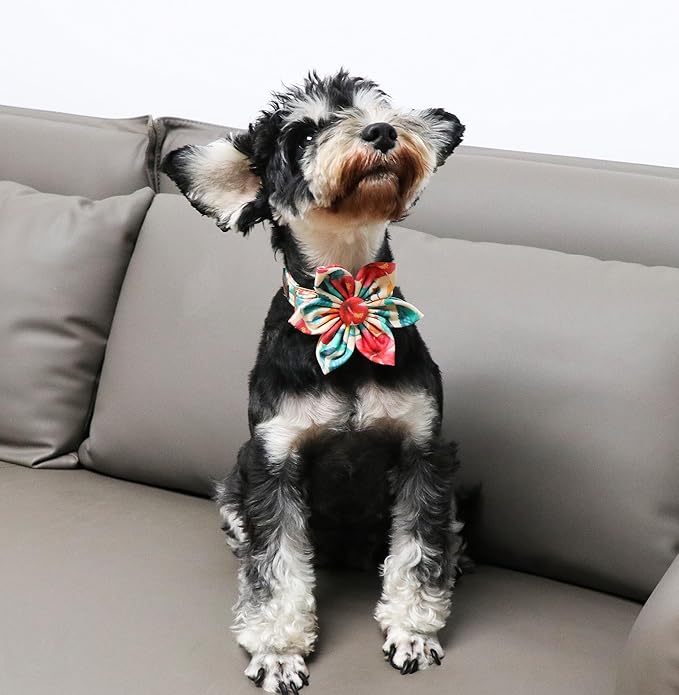 Unique Style Paws Cotton Dog Collar with Bow Floral Plaid Colorful Dog Collar with Bow Tie for Small Medium Large Dogs Pets Gifts