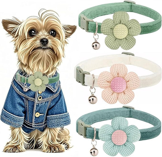 Small Dog Collar with Flower, Puppy Collars for Litter, XS Dog Collars for Small Dogs with Bell for Girl Boy Little Dog (White + Green + Blue)