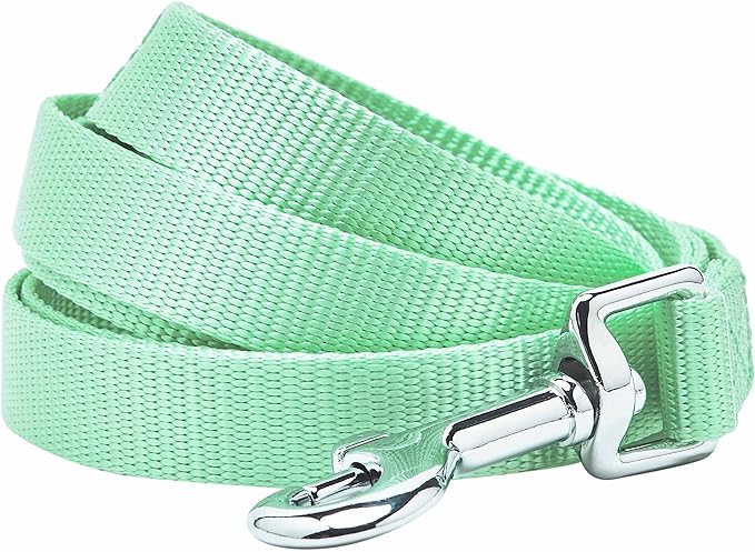 Blueberry Pet Essentials Durable Classic Dog Leash | Basic Nylon Dog Leash | 5ft. x 3/4" Medium Dog Leash | Pastel Green Dog Leash | Standard Dog Leashes & Lightweight Dog Leash for Training
