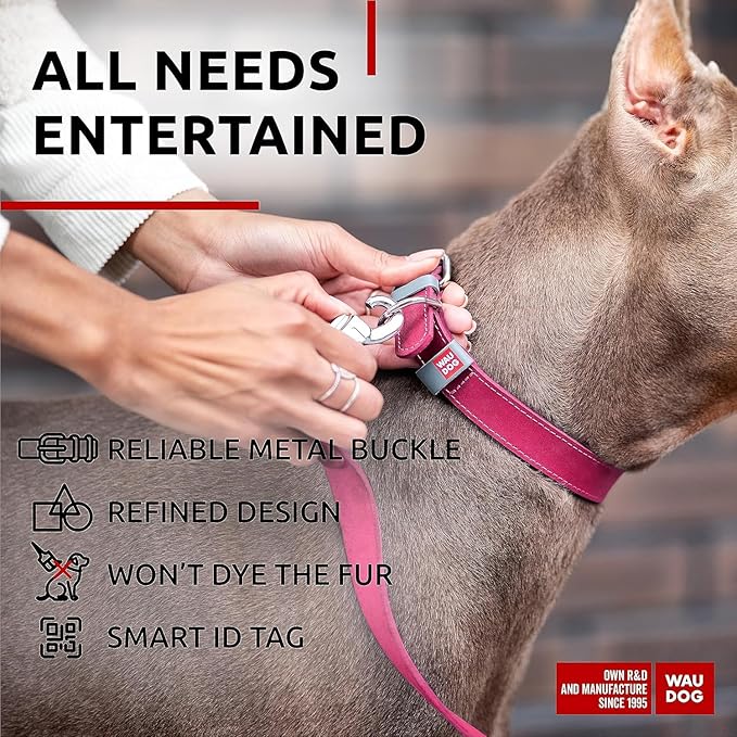 WAUDOG Long Lasting Leather Dog Collar for Large Dogs, Medium & Small Dogs - Adjustable Classic Puppy Collars for Large Breed Dogs - Boy & Girl Dog Collars with Durable Buckle, D-Ring & QR Dog Tag