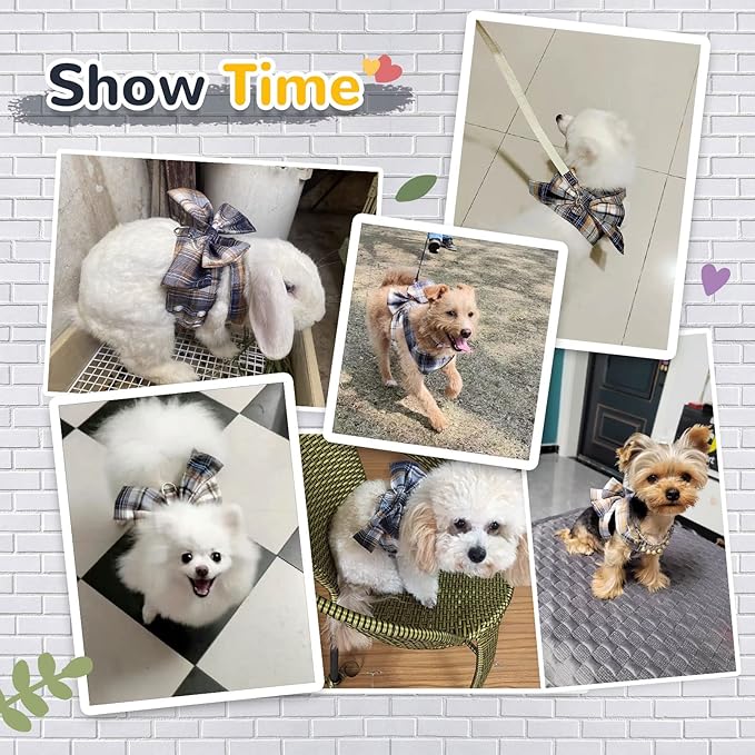 Small Dog Harness with D-Ring, Soft Mesh, Adjustable - Set Includes Puppy Pet Harness and Leash