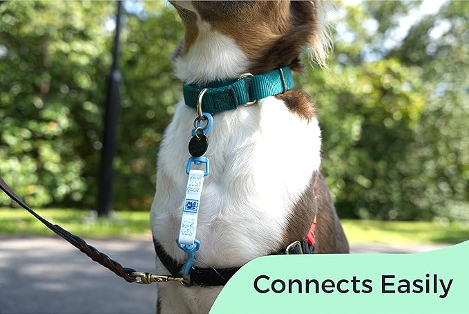 Gentle Creatures Collar Companion - Reinforced, Waterproof Poly Backup Clip for Dog Harness and Collar Safety Clip
