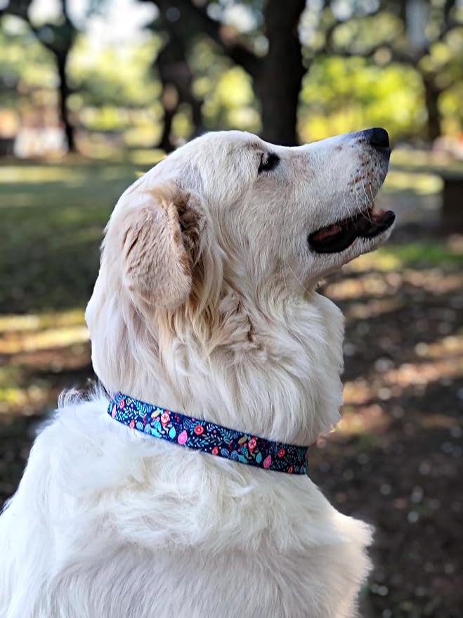 Lucky Love Dog - Adjustable Collar and Leash Set with Easy Click Buckle for Small to Large Dogs, Durable, & Comfortable Collar for Male & Female Dogs, Puppies & Adult - Sweet Holiday Combo, Small