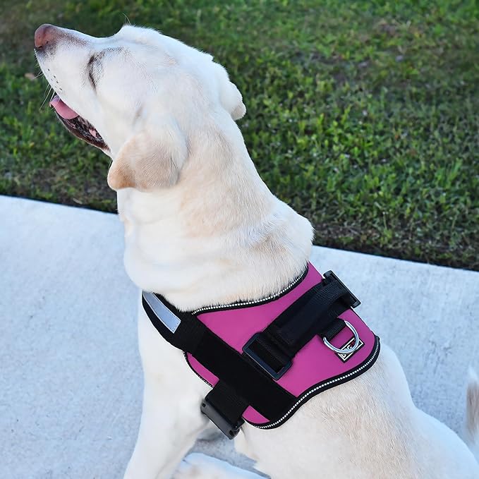 Dogline Reflective No-Pull Adjustable Vest with Handle for Walking, Training, Service Breathable No - Choke Harness for Small, Medium or Large Dogs Room for Patches Girth 15 to 18 in Pink