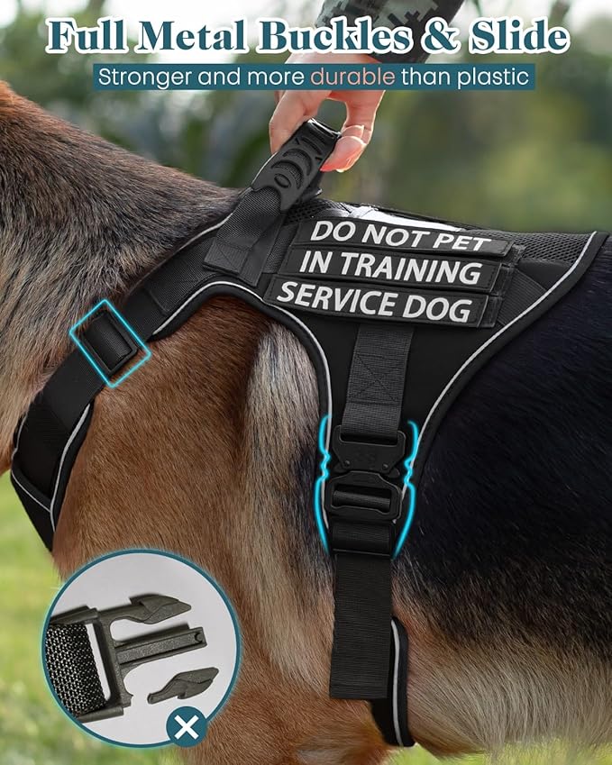 Reflective Service Dog in Training Vest Harness Leash Set for Medium Large Dogs, Adjustable Heavy Duty Black Padded Dog Harness, with Front Clip and Metal Buckles Do Not Pet for Training, Hiking