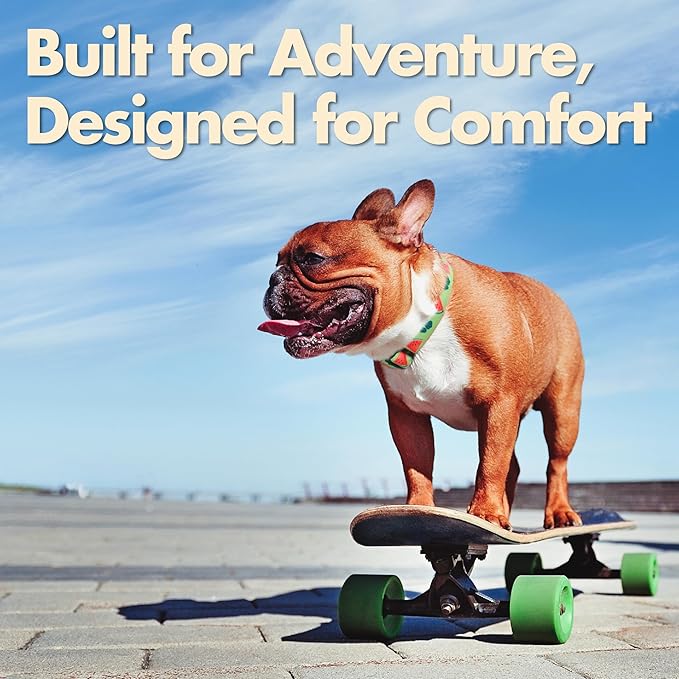 Cute Dog Collar, Summer Watermelon Print Reflective Padded Collar with Soft Neoprene, Adjustable Lightweight Pet Collar for Small Dogs, Puppies,Neck Size 9’’-14’’ (Watermelon, S)