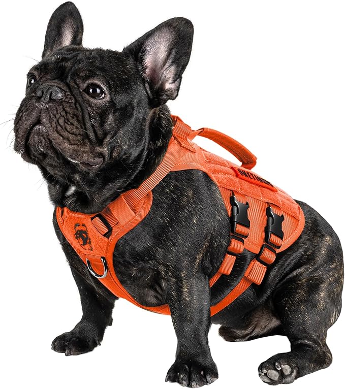 OneTigris Tactical Dog Harness for Small Dogs, No Pull Vest, Breathable Military Molle Vest with Handles for Walking Hiking Training (Orange, XS)