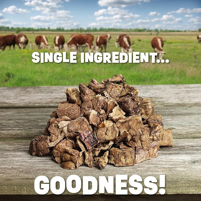 Dried Beef Lung Dog Treats Made in The USA | Healthy Dog Training Treats | Low Calorie | Natural Dehydrated Dog Treats | (2.5 lb Package)
