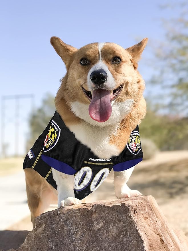 Pets First NFL Baltimore Ravens Dog Jersey, Size X-Large. Best Football Jersey Costume for Dogs & Cats. Licensed Jersey Shirt