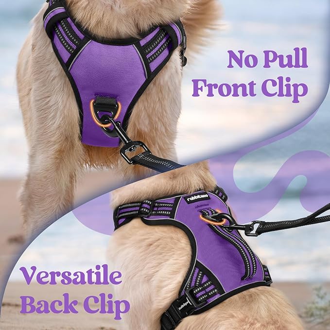 rabbitgoo Dog Harness for Large Dogs, No Pull Pet Harness with Soft Padded Handle, Adjustable Reflective Vest with 3 Buckles, Easy Walking Harness with 2 Leash Clips, Purple, M