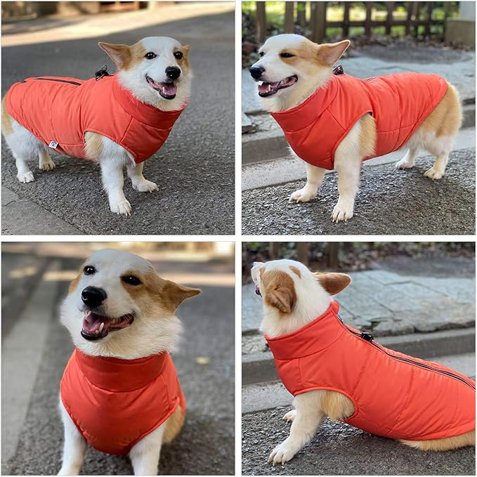 Orange M Dog Winter Coat, Waterproof, Ultra Warm, Windproof, Zippered Jacket, Breathable, Soft Cotton Lining for Small, Medium, Large Dogs