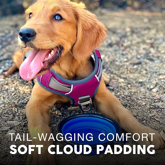 Embark Adventure Dog Harness, Reflective Trim No Pull Dog Harnesses for Small Sized Dogs - Military Grade Nylon, Front Clip with Gel Lined Handle.