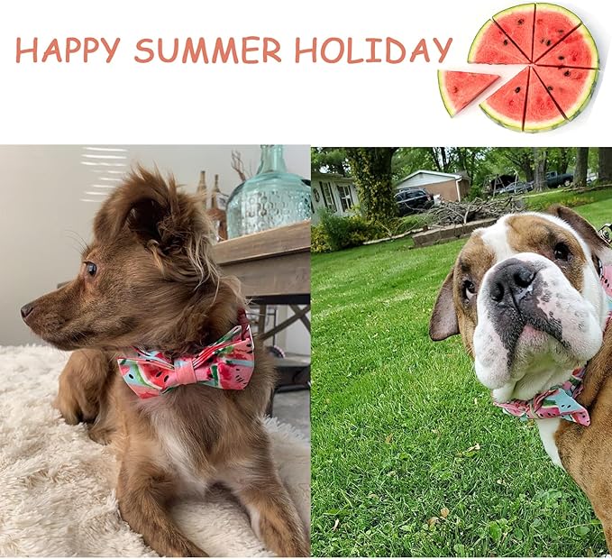 Unique style paws Bowtie Dog Collar Cotton Watermelon Adjustable Summer Collar for Small Medium Large Dogs - XL