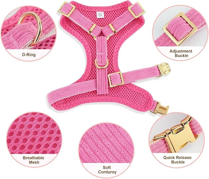 Didog Cute Small Dog Harness Collar & Leash Set, Adjustable Dog Collars and Leashes with Bowtie, Breathable Soft Mesh Padded Dog Vest for Puppies Small Dogs & Cats Walking, Hot Pink, M