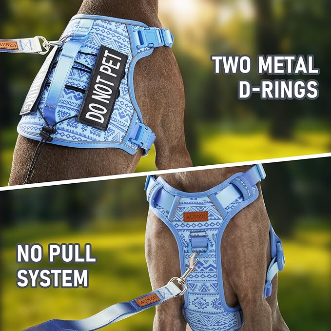 No Pull Dog Harness for Large Dogs with 2 Metal Clips, Easy On/Off with Neck Buckle, Heavy Duty Adjustable Tactical Puppy Vest, Breathable Pet Harness with Easy Control Handle, Blue L