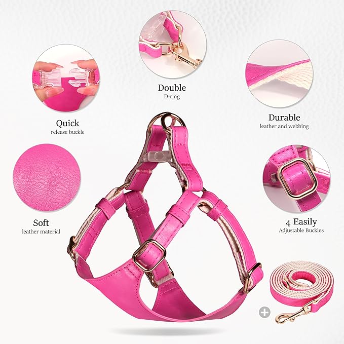 Didog Small Dog Harness and Leash Set, Soft & Lightweight Dog Vest Harness, Adjustable Leather Dog Harness for Small Dogs, Hot Pink, XS