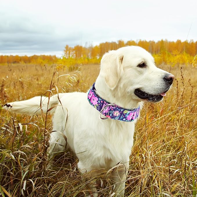 Martingale Dog Collar 1.5 Inch Wide - Bohemian Floral Print Adjustable Nylon No-Pull Training Collar for Medium/Large/XL Dogs, Heavy Duty Design for Walking, Hunting & Outdoor Activities (M)