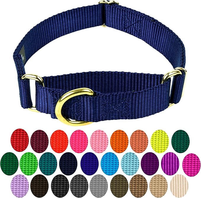 Country Brook Petz Martingale Dog Collar - Heavy-Duty Training Collar with No Buckle - Service Dog Collar for All Pups - Vibrant, Colorful Collection (Navy Blue, 3/4 Inch, Small)