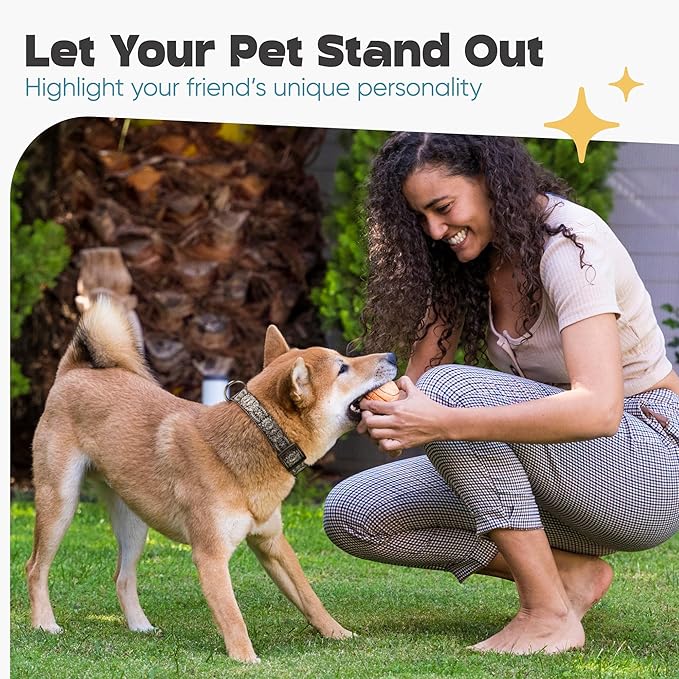 Dog Collar for Medium & Large - Black Silver Woven Pattern on Long Lasting, Adjustable, Strong and Durable Collars for Dogs - Choose from Stunning Patterns and Colors