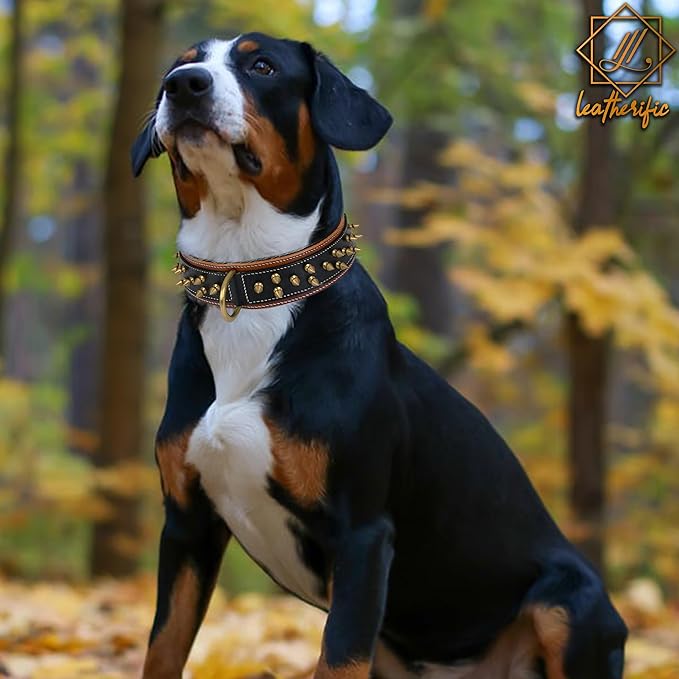 Genuine Leather Dog Collar by Leatherific, Premium Bridle Leather, Heavy Duty, Padded, Strong, Screwed Spikes, Medium, Large, Extra Large Breeds, 2" Wide (Charcoal, Neck Size 14"-18")