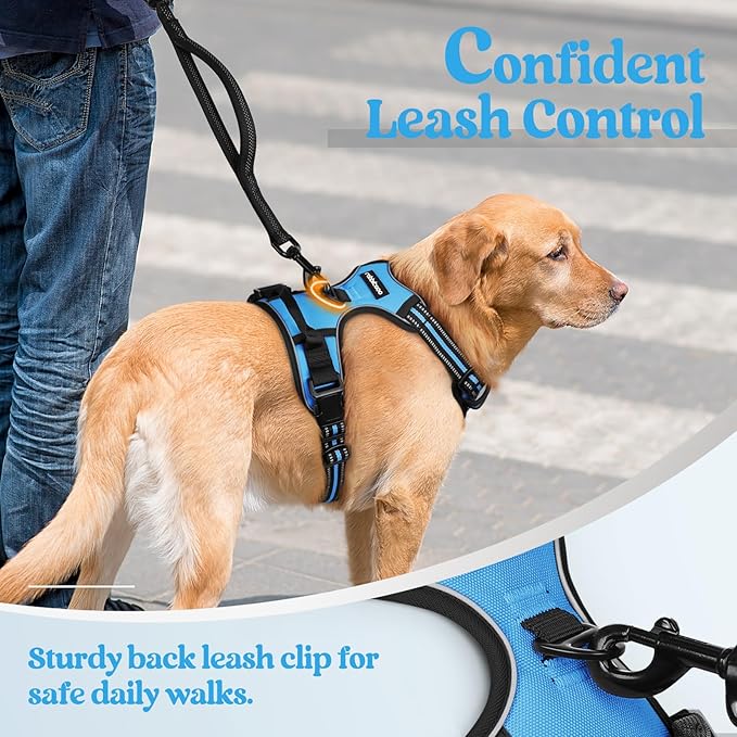 rabbitgoo Dog Harness No Pull with 2 Leash Clips, Adjustable Soft Padded, Reflective Oxford No Choke Pet Vest with Easy Control Handle for Small Dogs, Blue, S
