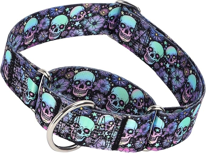 Martingale Dog Collar 1.5 Inch Wide - Heavy Duty Skull Design for Large Dogs, Adjustable Training Collar for Walking, Hunting, and Outdoor Activities - Perfect for Boys and Girls (L)