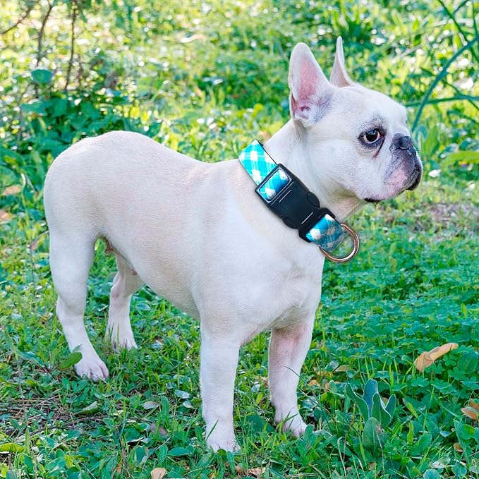 Reflective Dog Collar Padded with Soft Neoprene Breathable Adjustable Nylon Dog Collars for Small Medium Large Dogs (Large (Pack of 1), Vivid Blue Plaid Collar+Leash)