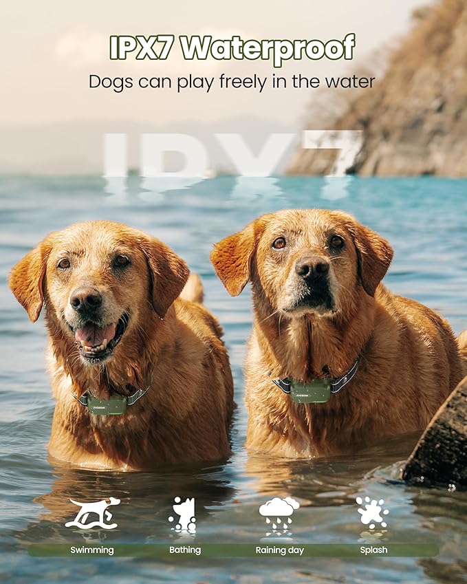 Jugbow Dog Shock Collar 2 Dogs (10-120Lbs) - 3300FT Dog Training Collar with Remote IPX7 Waterproof Electric Collar with 4 Training Modes, Security Lock, Rechargeable e-Collar for All Breeds, Sizes