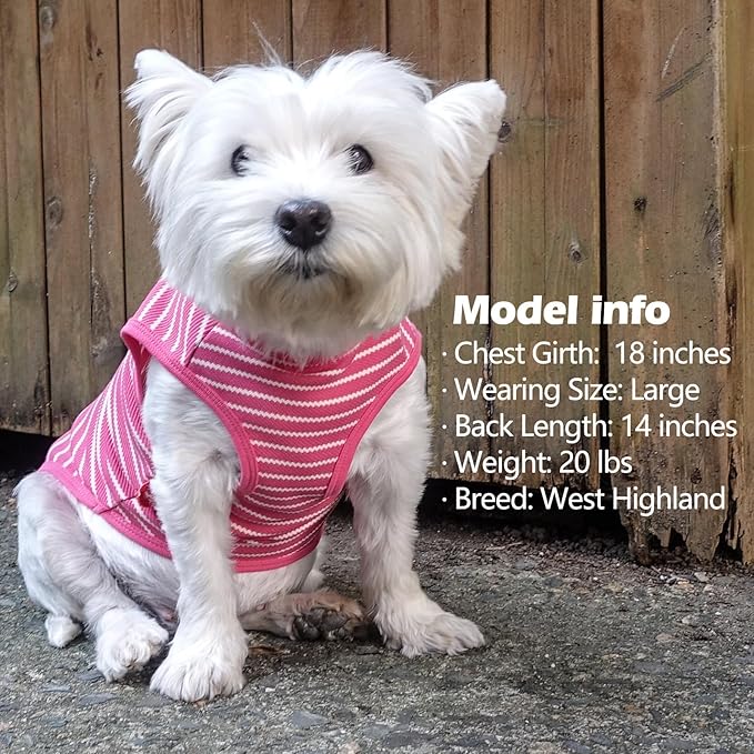 KYEESE 2Pack Dog Shirts Striped for Small Pups Soft Stretchy Pet Tee Lightweight Puppy Tank Top Sleeveless Canine Vest Breathable, X-Large, Rose Red+Blue