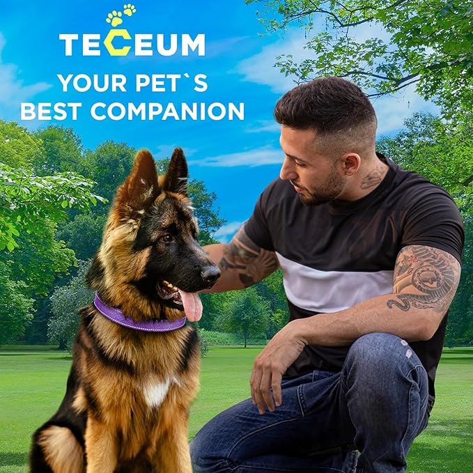 TECEUM Reflective Pet Collar – Purple – XXS – Extra Soft Padding – Basic Nylon Dog Collar – Quick Release Buckle – Fits Small, Medium and Large Dogs, Puppies, Cats – ESA & Service Dog Options