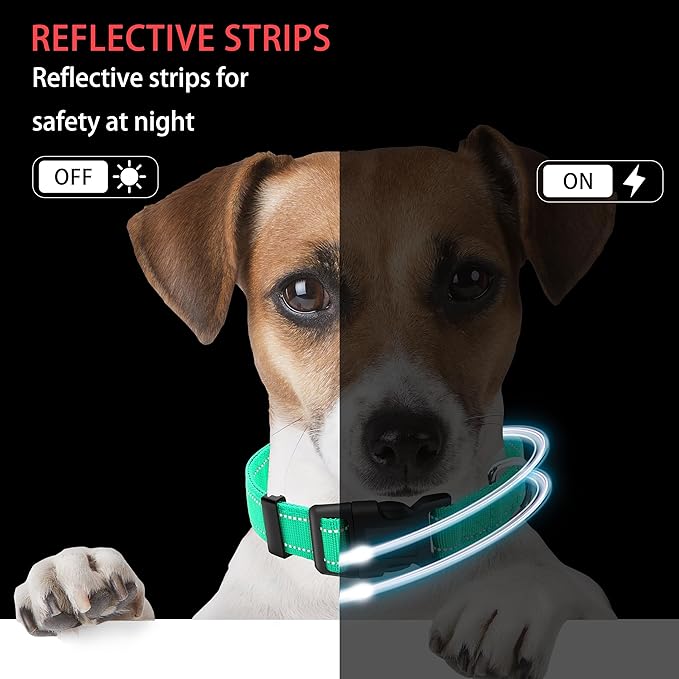 Reflective Dog Collar with Safety Locking Buckle, Adjustable Soft Breathable Nylon Collars for Small, Medium and Large Dogs(Collar+Leash L Turquoise)
