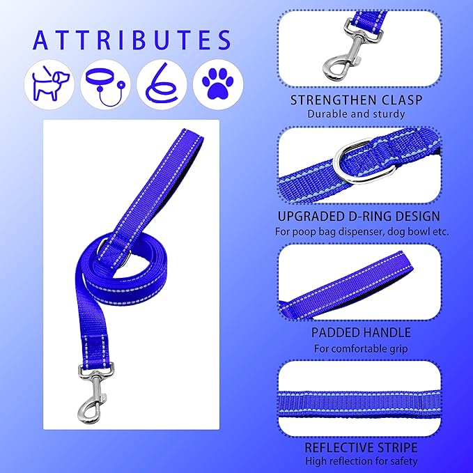 Reflective Dog Collar with Safety Locking Buckle, Adjustable Soft Breathable Nylon Collars for Small, Medium and Large Dogs(Collar+Leash XS Width 5/8" Navy Blue)