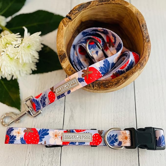 Lucky Love Dog - Easy Click Buckle Dog Collar with Leash Set Combo, Durable & Comfortable for Male & Female Dogs, Pet Collar for Small to Large Dogs, Secure Fit - Sweet Berry Combo, Small