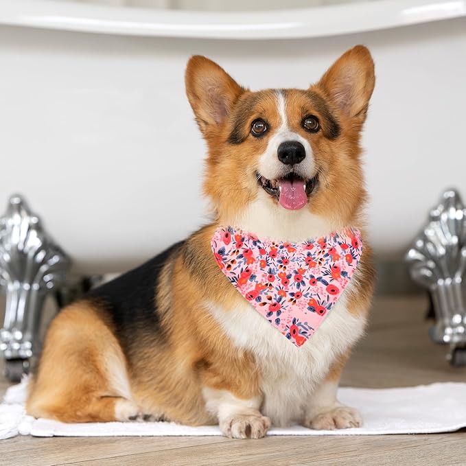 Dog Collars and Bandanas - Soft Adjustable Fancy Floral Boys Girls Puppy Collar for Small Medium Large Dogs.