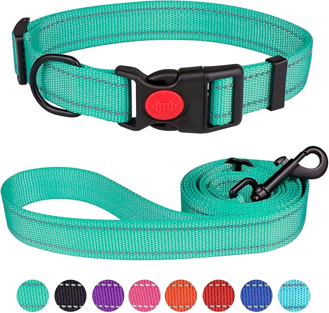 Reflective Dog Collar and Leash Set with Safety Locking Buckle Nylon Pet Collars Adjustable for Small Medium Large Dogs 4 Sizes(Mint Green&M)