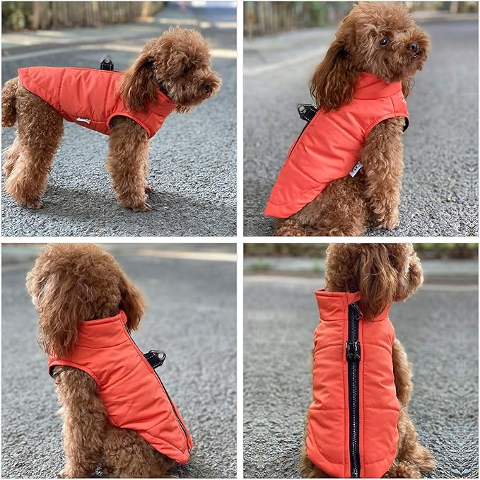 Winter Vest for Dogs, Waterproof & Windproof, Zippered Jacket, Breathable & Soft, Cotton Lined, Orange, Sizes S-XXXL