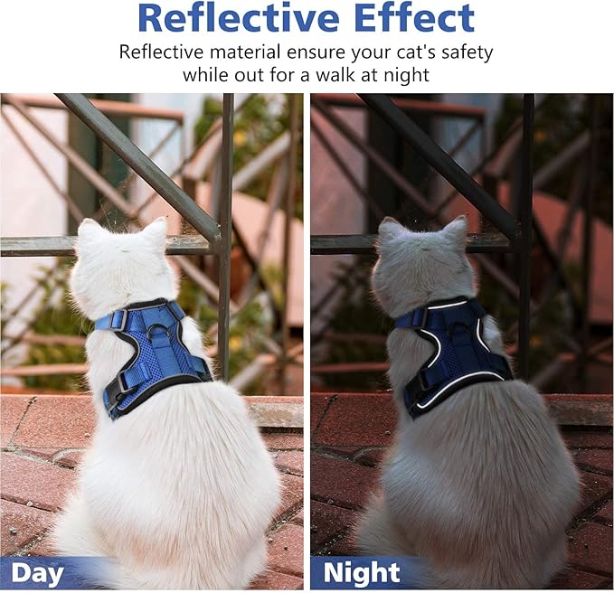 Dooradar Cat Harness and Leash Set, Escape Proof Safe Adjustable Kitten Vest Harnesses for Walking, Easy Control Soft Breathable Mesh Jacket with Reflective Strips for Cats, Blue, S