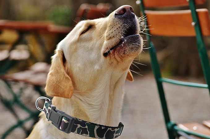 Dog Collar, Cute Camouflage Pattern, Soft and Adjustable Collar with Quick Release Buckle (L (Neck 16-28", Width 1"), Camouflage Green)