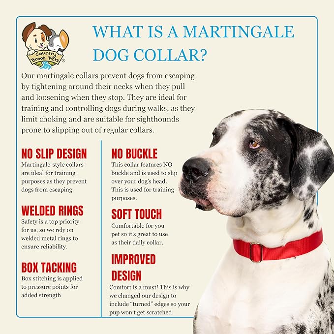 Country Brook Petz Martingale Dog Collar - Heavy-Duty Training Collar with No Buckle - Service Dog Collar for All Pups - Vibrant, Colorful Collection (Red, 3/4 Inch, Small)