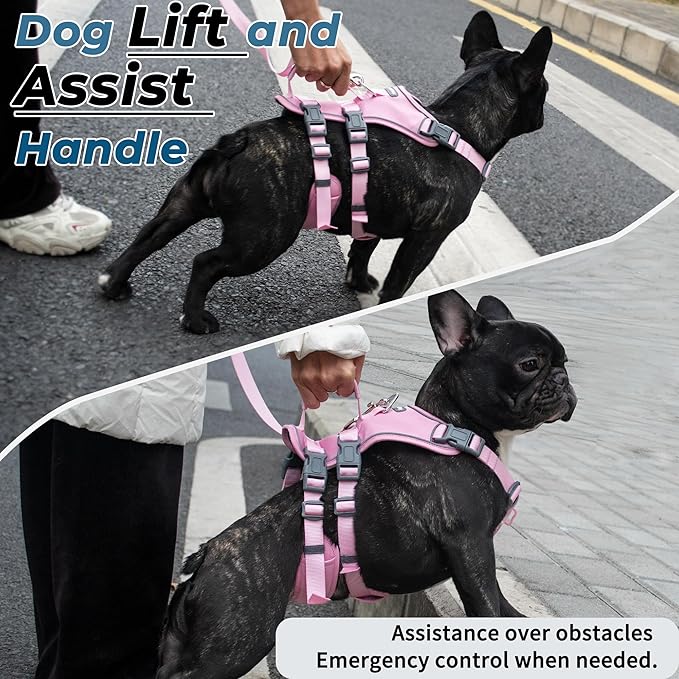 Escape Proof Dog Harness and Leash Set, Lightweight Dog Harness with Lift and Assist Handle, No Pull Reflective Pet Vest for Small Medium Dogs, Ideal for Puppy Walking and Training (Pink, S)