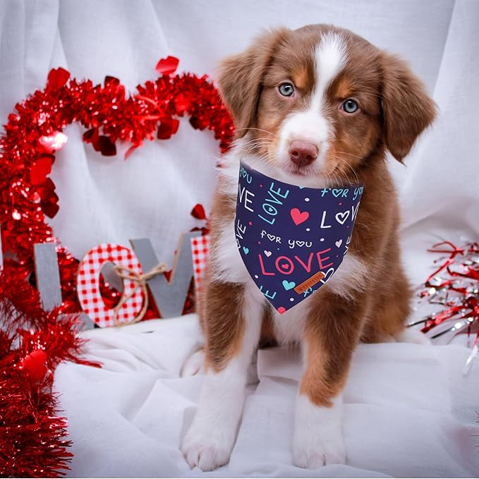 ADOGGYGO Valentine Dog Bandana, Red Blue Heart Love Pet Scarf, Adjustable Fit Pet Valentine Bandanas for Small Dogs (Small)