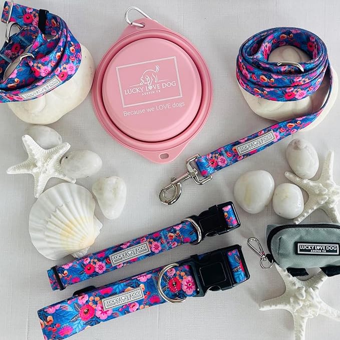 Lucky Love Dog Combo Set, Big Dog Collar & Leash Set for Large Dogs, Colorful Matching Collar and Leash Set for Girl or Boy Dogs, Stripes, Zuzu Combo, Large