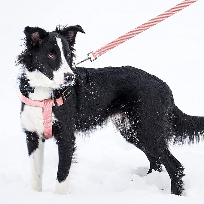 No Pull Dog Harness - Adjustable Step-in Harness & Leash Set for Small, Medium, Large Dogs - Escape Proof Soft Pet Harness for Walking, Training, Hiking, Outdoor Activities