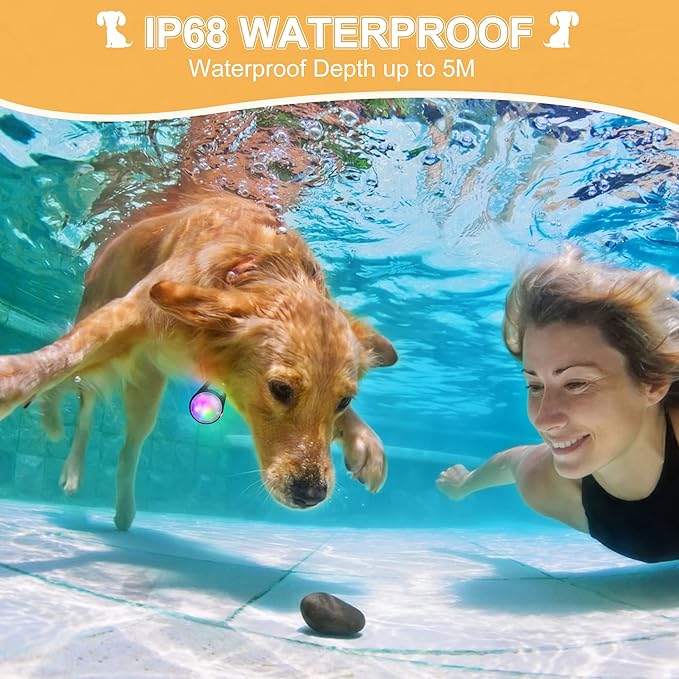 Dog Collar Light, 4 Modes Dog Lights for Night Walking, Rechargeable Pet Collar LED for Nighttime Clip on, IP68 Waterproof Pet Walking Accessories-2 Pack(Black)