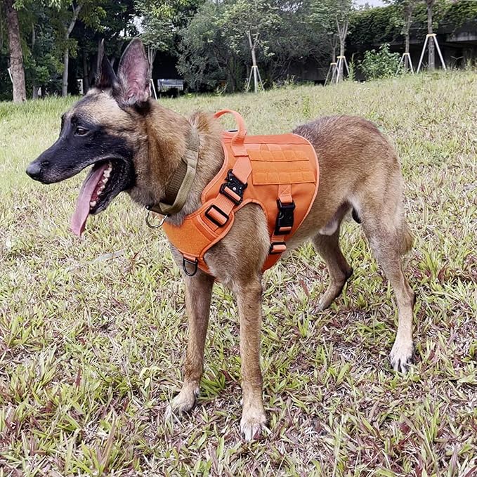 ICEFANG Tactical Dog Harness,X-Large Size, 2X Metal Buckle,Working Dog MOLLE Vest with Handle,No Pulling Front Leash Clip,Hook and Loop Panel