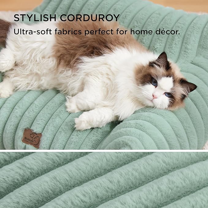 Bedsure Cute Cat Couch for Pets - Fluffy Cat Sofa with Premium Soft Corduroy Fleece, Fuzzy Cat Couch Bed with Removable Washable Cover, Supportive Cat Chair for Indoor Cats, 24inch, Garden Green