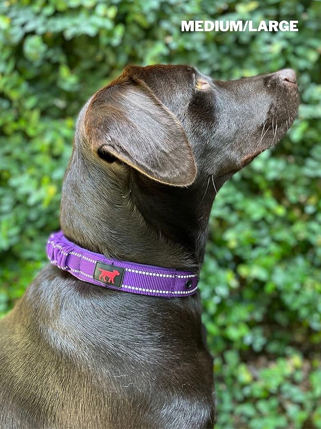 Heavy Duty Dog Collar with Handle | Ballistic Nylon Heavy Duty Collar | Padded Reflective Dog Collar with Adjustable Stainless Steel Hardware | Convenient Sizing for All Breeds