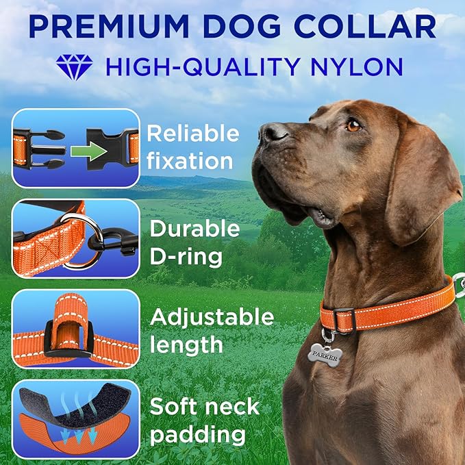 TECEUM Reflective Pet Collar – Orange – S – Extra Soft Padding – Basic Nylon Dog Collar – Quick Release Buckle – Fits Small, Medium and Large Dogs, Puppies, Cats – ESA & Service Dog Options